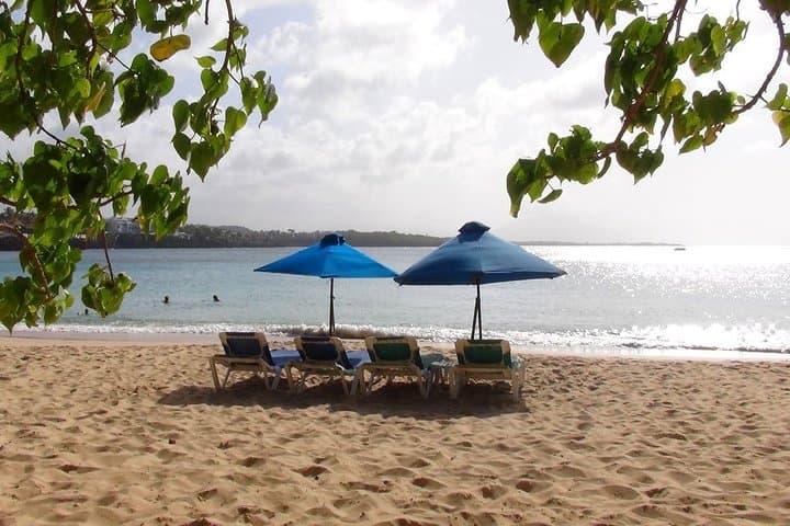 Sosúa Snorkel & Beach Day from Puerto Plata — Two Reefs, Sun Chairs and Local Flavor photo 6