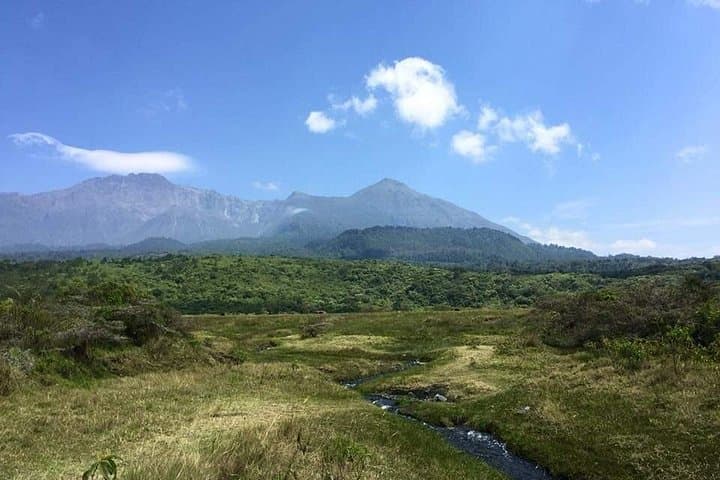 4-Day Mount Meru Trek: Rainforest, Wildlife and Alpine Summit near Arusha photo 4