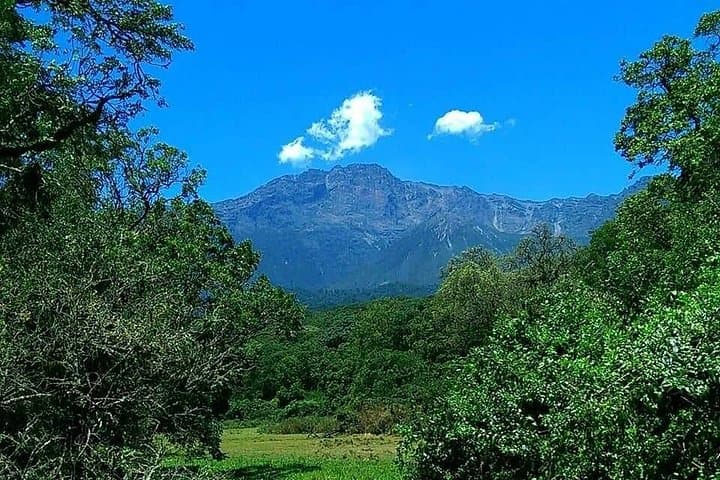 4-Day Mount Meru Trek: Rainforest, Wildlife and Alpine Summit near Arusha photo 6