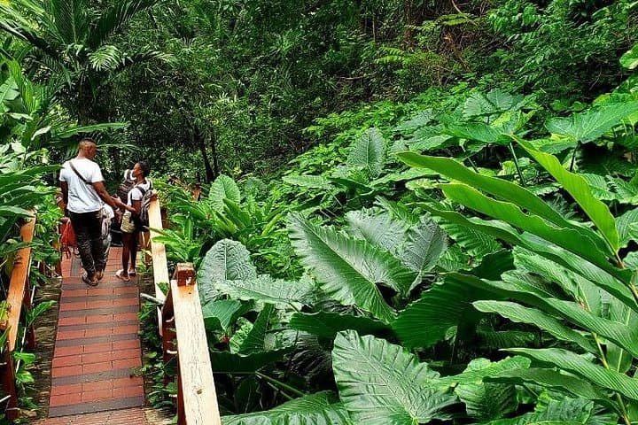 Private Transfer to Konoko Falls Botanical Gardens — Ocho Rios Garden Tour photo 3