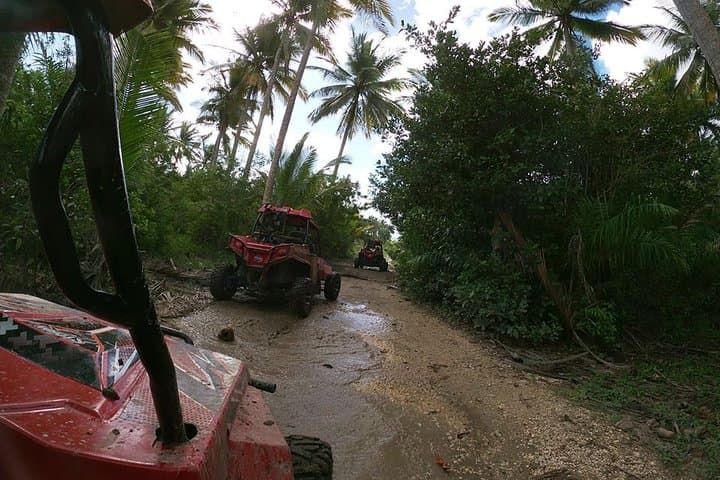 Sosua Dune Buggy Tour: Drive Montellano's Sugarcane Trails to the Beach photo 1