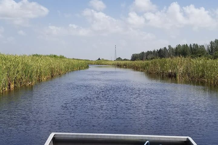 Private Airboat Tours in the Everglades Near West Palm Beach photo 4