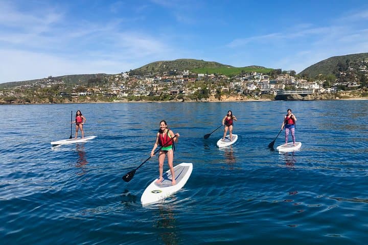 Laguna Beach Sea Lion Kayak Tour: Paddle Hidden Coves & Coastal Cliffs photo 2