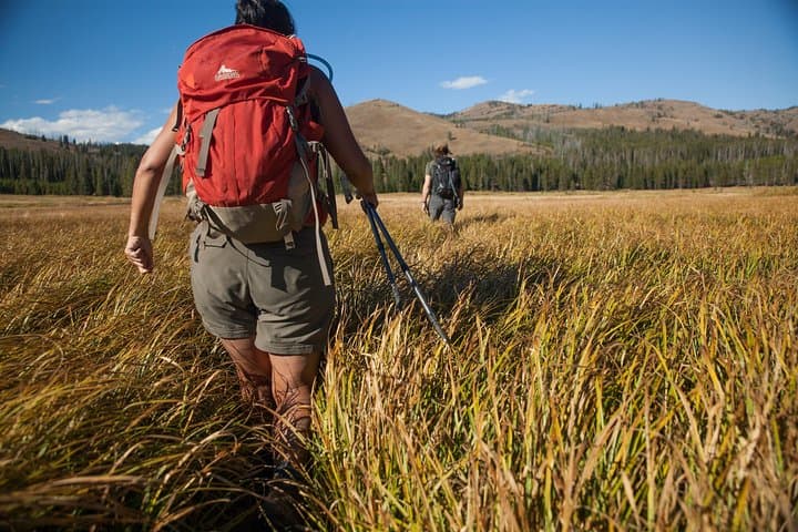 Yellowstone Full-Day Private Tour and Hike from Gardiner photo 4