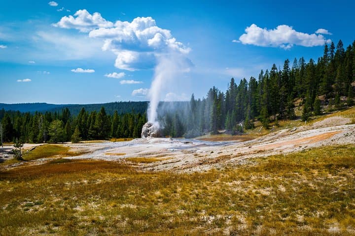 Yellowstone Full-Day Private Tour and Hike from Gardiner