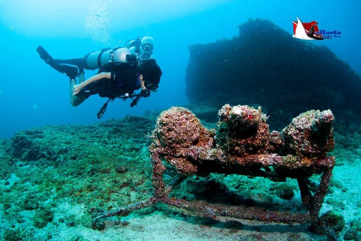 Private Scuba Diving in Puerto Vallarta: Boat-Only Reefs & Marietas Access photo 5