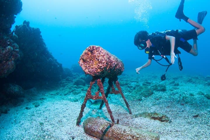 Private Scuba Diving in Puerto Vallarta: Boat-Only Reefs & Marietas Access photo 6