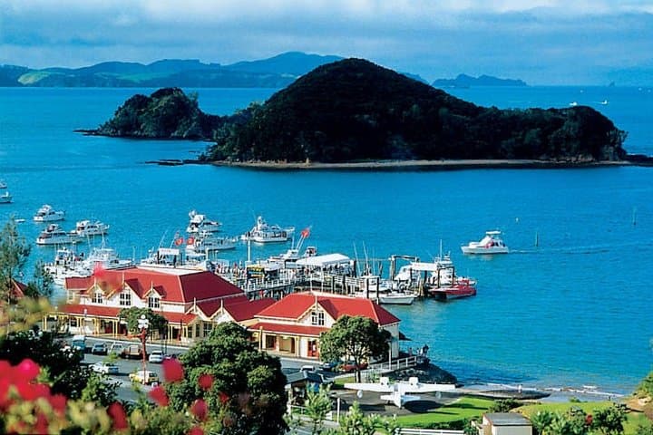 Private Day Trip to Waitangi Treaty Grounds from Auckland — Bay of Islands Cultural Tour