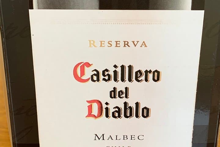 Full-Day Maipo River Rafting and Concha y Toro Winery Tour from Santiago photo 3