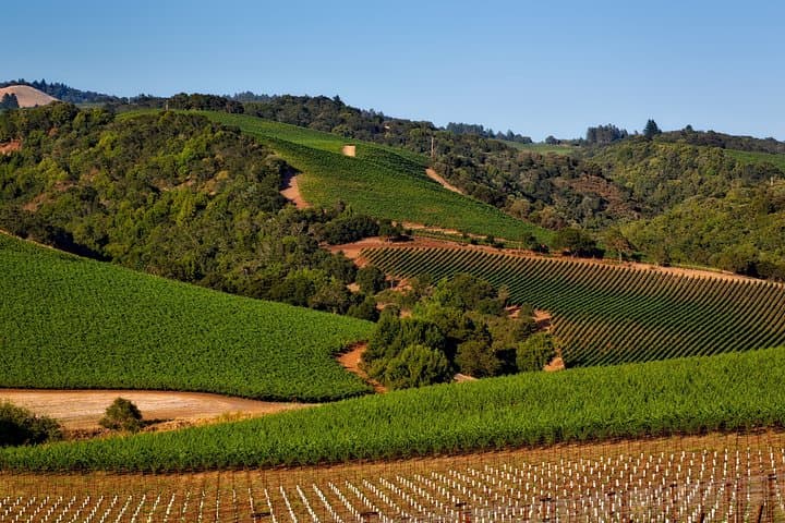 Private Napa Valley Wine Tasting Tour — Custom 6–10 Hour Small-Group Experience