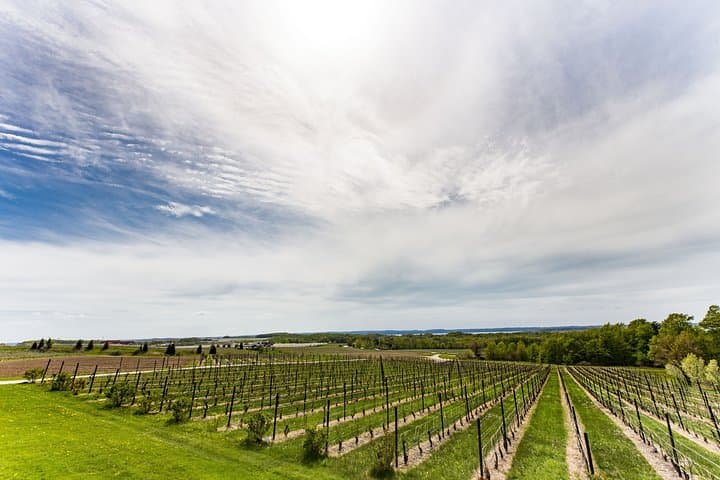 Private Napa & Sonoma Wine Tour — Custom 8–10 Hour Tasting from San Francisco photo 2