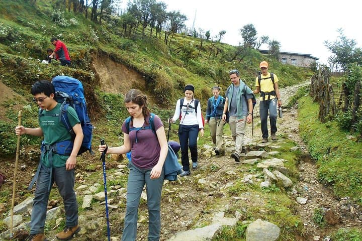 Singalila Ridge Trek: 5-Day Sandakphu & Phalut Himalayan Trek from Darjeeling photo 3