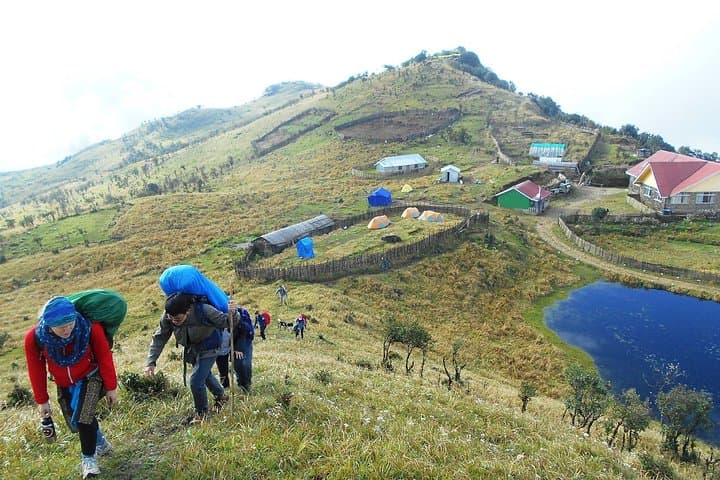 Singalila Ridge Trek: 5-Day Sandakphu & Phalut Himalayan Trek from Darjeeling photo 4