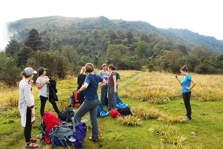 Singalila Ridge Trek: 5-Day Sandakphu & Phalut Himalayan Trek from Darjeeling photo 2