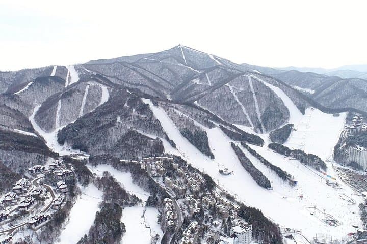 Private Ski Lessons at Pyeongchang Olympic Ski Resort — Yongpyong & Alpensia Guide photo 2