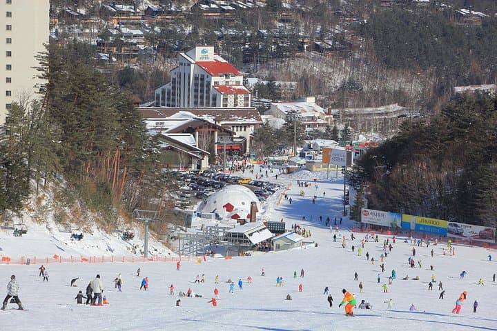 Private Ski Lessons at Pyeongchang Olympic Ski Resort — Yongpyong & Alpensia Guide photo 3