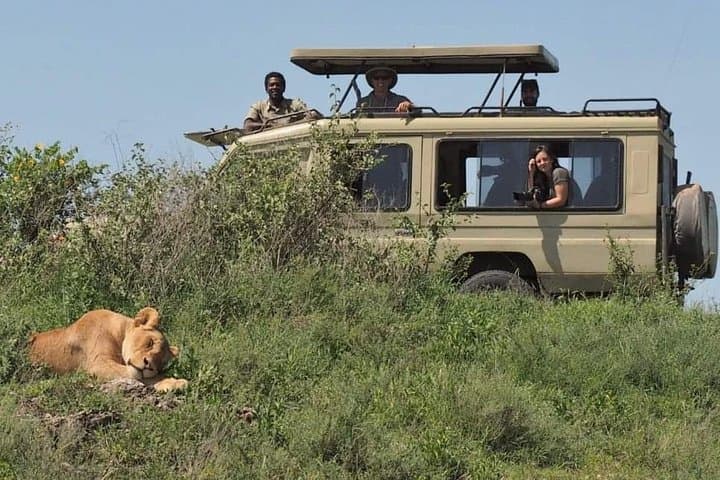 5-Day Northern Tanzania Safari: Serengeti, Ngorongoro & Lake Manyara photo 3
