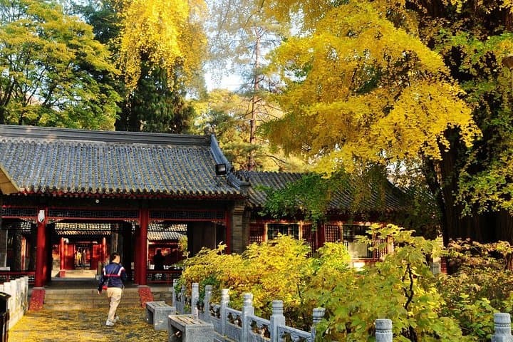 Private Day Tour: Stone Flower Cave, Tanzhe Temple & Jietai Temple from Beijing photo 4