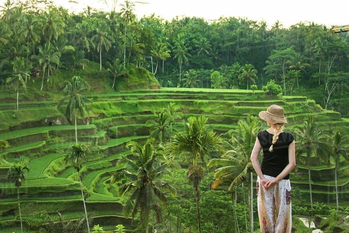 Ubud Day Tour: Monkey Forest, Jungle Swing, Rice Terraces & Tirta Empul photo 2