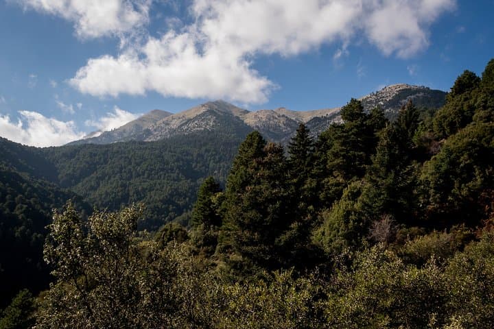 Summit Mount Taygetos: Full-Day Hike to Prophet Elias with Picnic photo 4