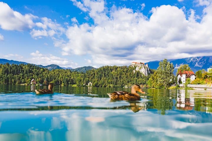Lake Bled Half-Day: Island, Castle & Private Pletna Boat from Ljubljana photo 1