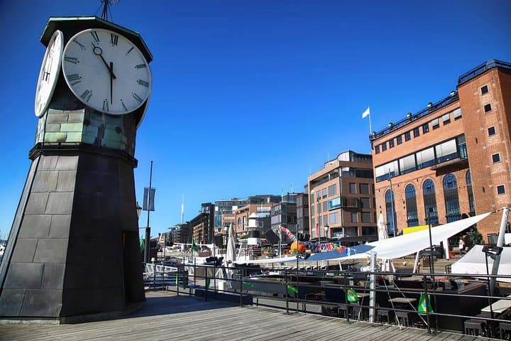 Oslo Highlights: Kon-Tiki Museum & Bygdøy Walking Tour photo 5
