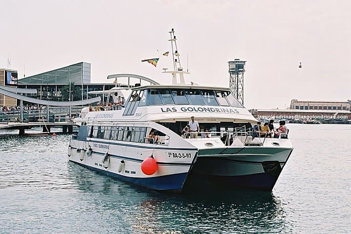 Barcelona Coastal Cruise: 60-Minute Las Golondrinas Skyline Tour photo 2