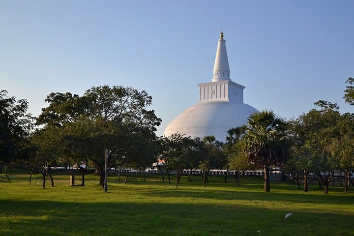 Sri Lanka for Families: Two-Week Minivan Adventure with Treehouses, Safaris & Beach Days photo 2