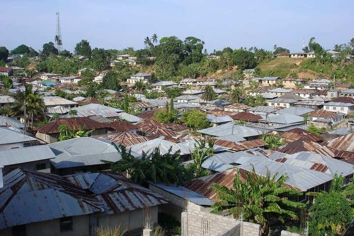 Chake Chake City Tour: Markets, Old Forts & Mangrove Bay on Pemba Island photo 5