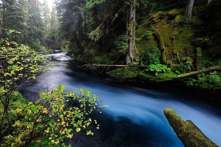 Private Full-Day Photo Tours in Bend & Central Oregon: Capture Waterfalls, Lava Fields and Golden Hour Light photo 5