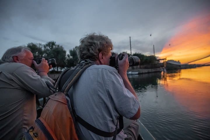 Small-Group Boat Birdwatching in Pialassa Baiona: Flamingos, Herons & Lagoon Life