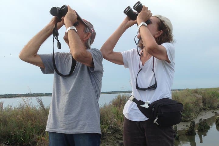 Small-Group Boat Birdwatching in Pialassa Baiona: Flamingos, Herons & Lagoon Life photo 2