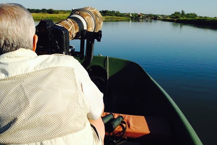 Small-Group Boat Birdwatching in Pialassa Baiona: Flamingos, Herons & Lagoon Life photo 5