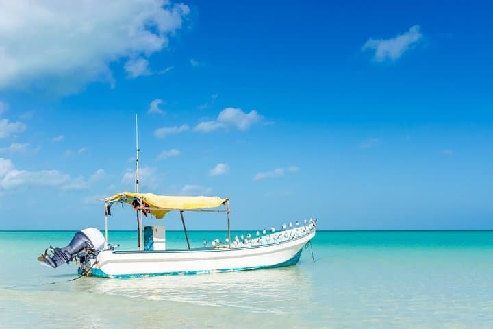 Holbox One-Day Island Escape: Cenote Yalahau, Isla Pasion & Punta Mosquito photo 3