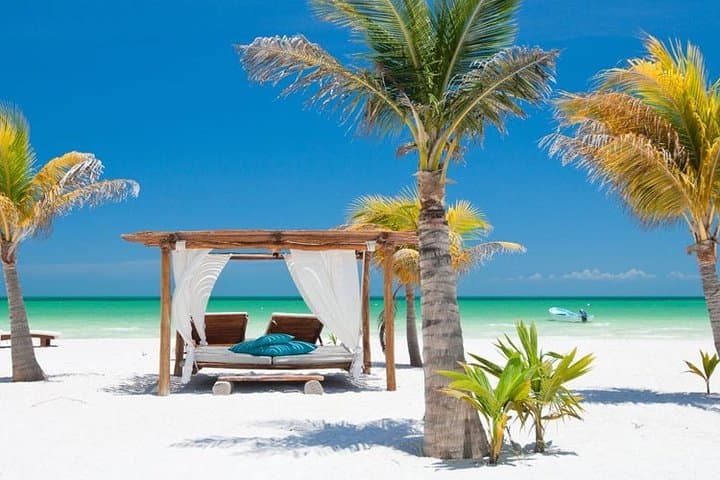 Holbox One-Day Island Escape: Cenote Yalahau, Isla Pasion & Punta Mosquito photo 6