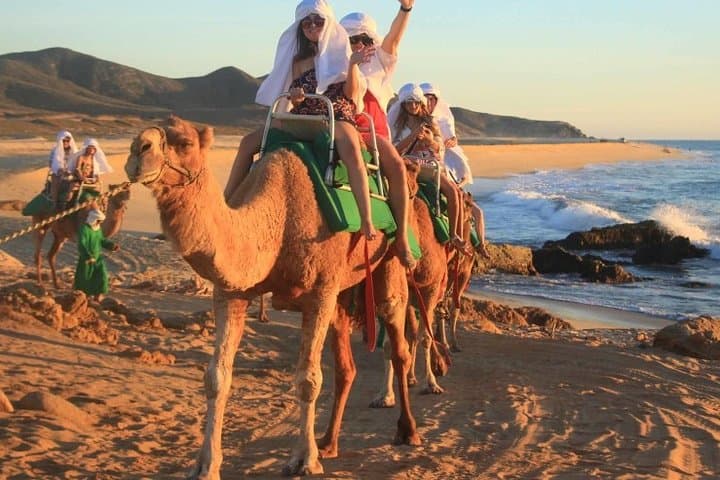 Cabo San Lucas Camel Ride: Beach & Desert Encounter with Tequila Tasting photo 5