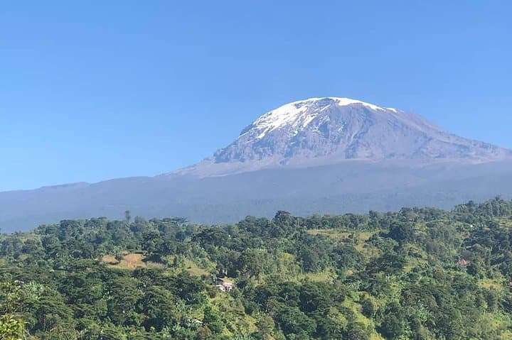 6-Day Machame Route Kilimanjaro Trek: Scenic Summit Trekking Guide