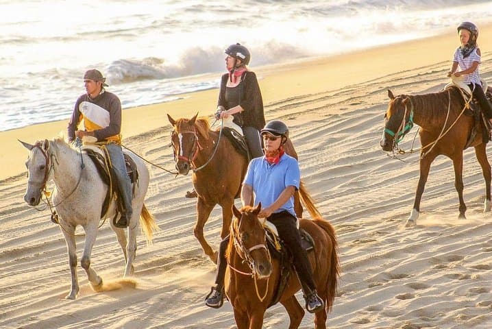 Cabo San Lucas Horseback Riding: Beach & Desert Tour (2 Hours) photo 4