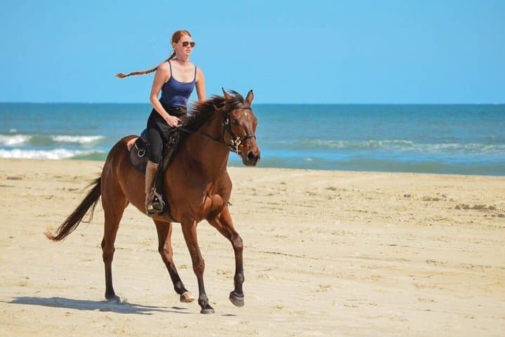 Cabo San Lucas Horseback Riding: Beach & Desert Tour (2 Hours) photo 2