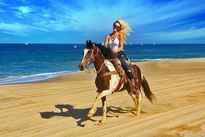 Cabo San Lucas Horseback Riding: Beach & Desert Tour (2 Hours) photo 3