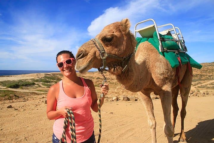 Cabo San Lucas Camel Ride: Beach & Desert Encounter with Tequila Tasting photo 2