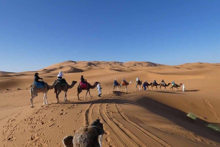 3-Day Merzouga Desert Tour from Marrakech — Camel Trek, Erg Chebbi Camp & Atlas Pass photo 4