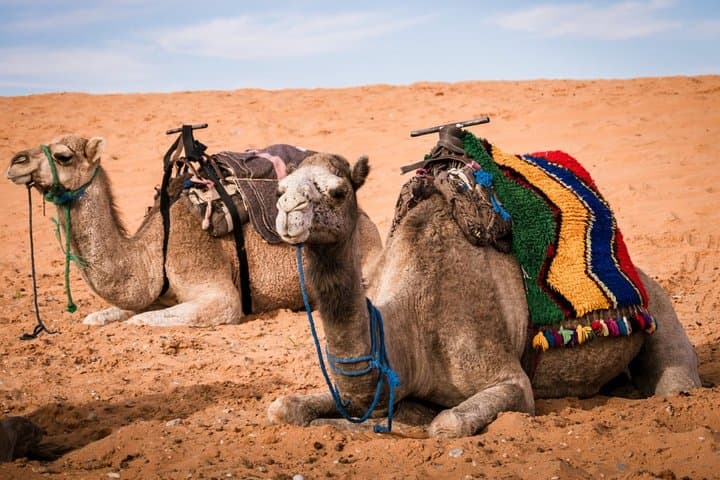 3-Day Merzouga Desert Tour from Marrakech — Camel Trek, Erg Chebbi Camp & Atlas Pass