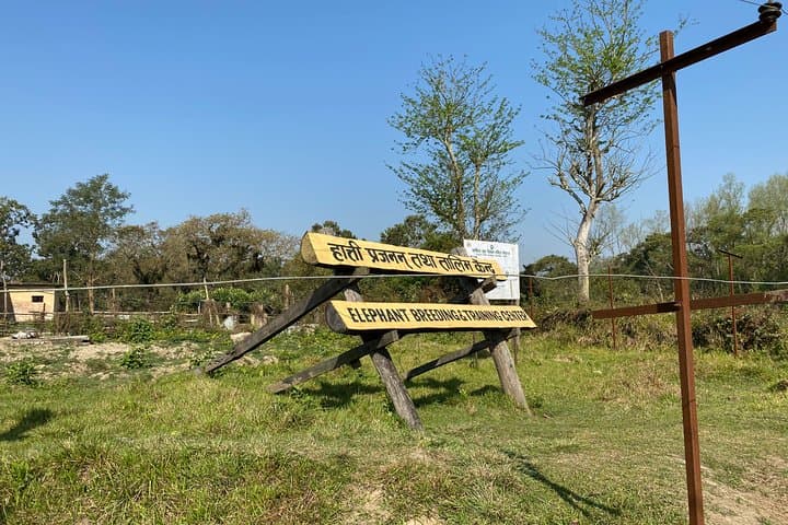Chitwan National Park Safari: 1-Night, 2-Day Jeep, Birding & River Sunset