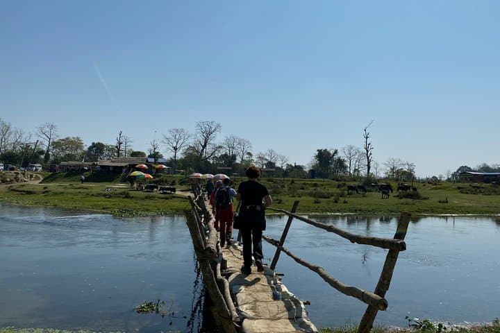 Chitwan Jungle Nature Walk: Guided Safari Through the Terai Forests photo 6
