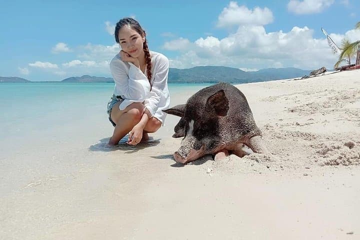 Koh Madsum & Koh Tan Speedboat Snorkel Trip from Koh Samui photo 5