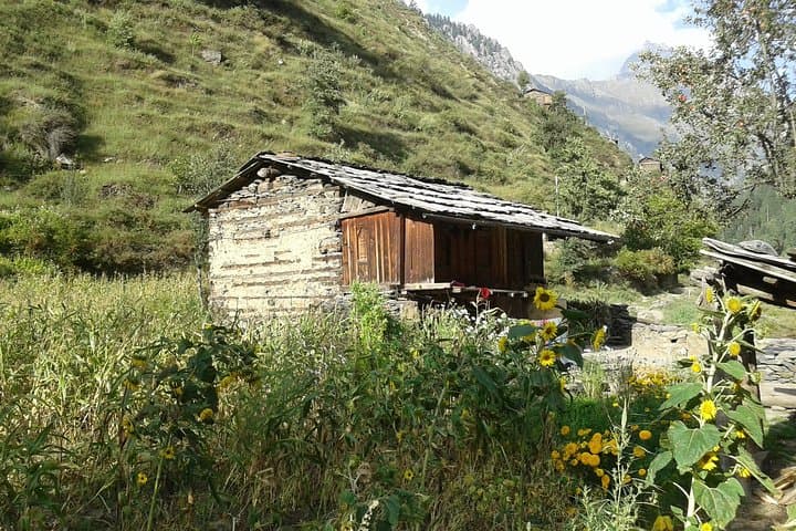 12-Day Manali to Dharamshala Himalayan Trek: Kalihani & Thamsar Passes photo 6