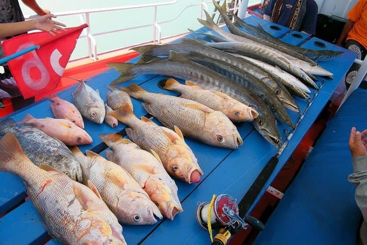 Big-Game Fishing & Snorkel Day Trip to Koh Tan from Koh Samui photo 3