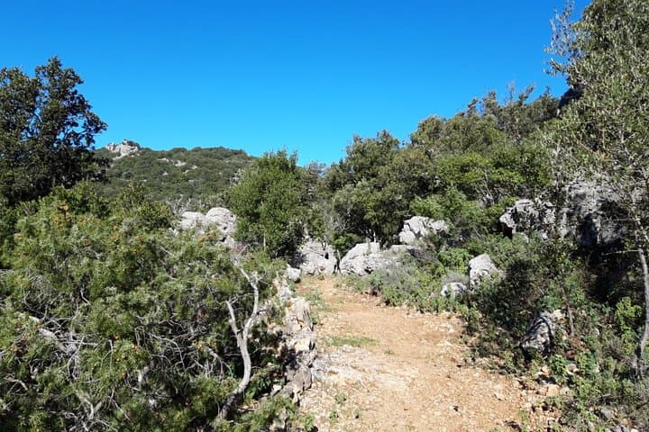Hiking the Tacchi d’Ogliastra: Ulassai’s Karst Heels and Cave Walk photo 5