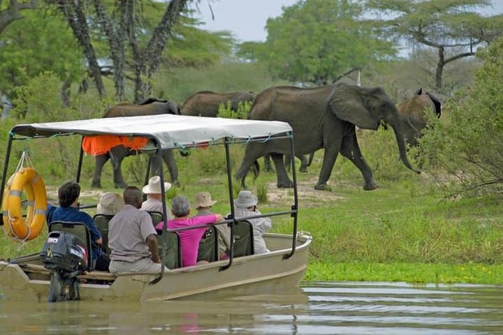 3-Day Nyerere National Park Lodge Safari — Selous Wildlife Experience